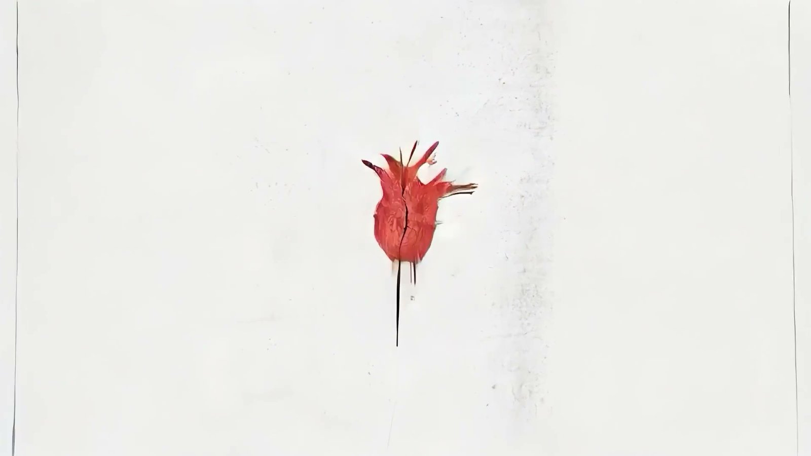 Diogo Dantas — reel 1